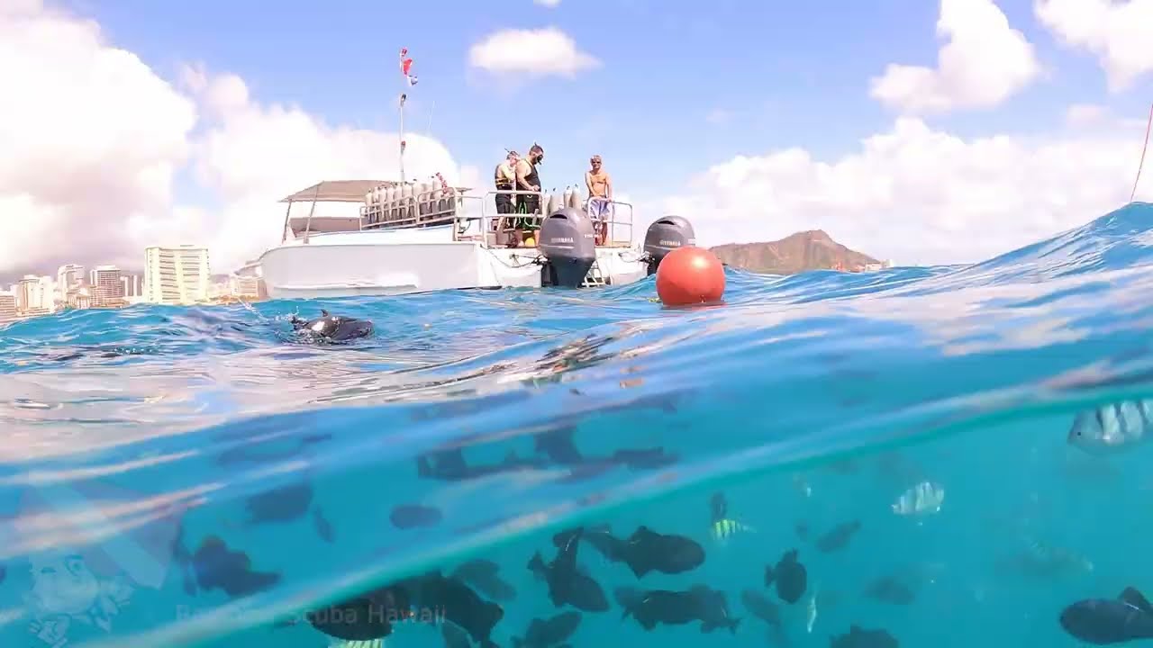 Honolulu dive boat Stugots