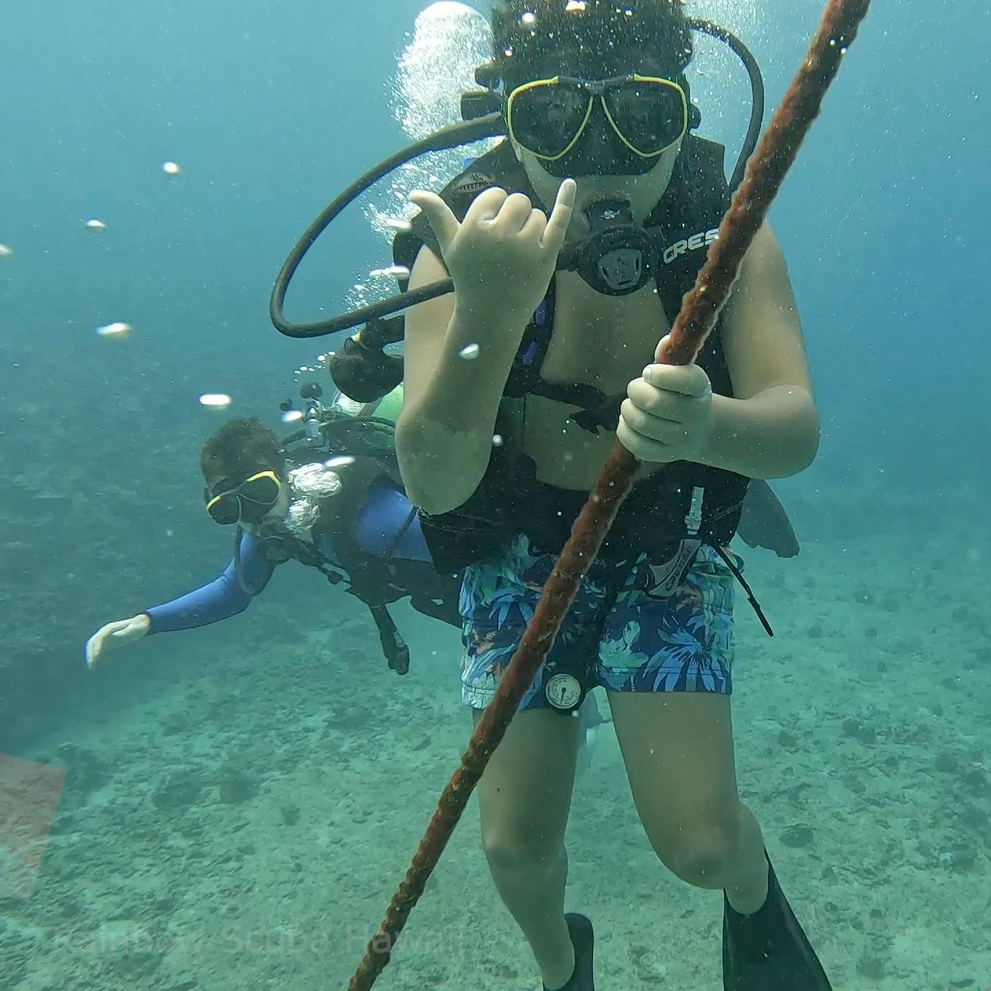 Family-friendly diving courses and experiences