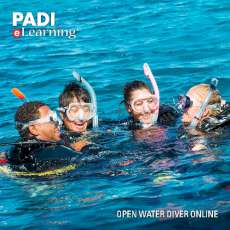 padi elearning