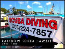 Rainbow Scuba Hawaii