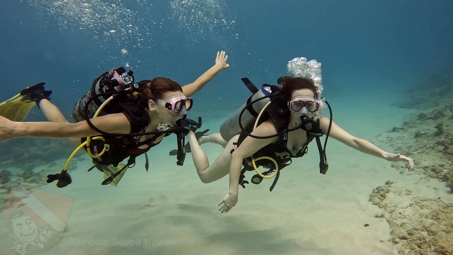 Scuba diving with Turtles tour