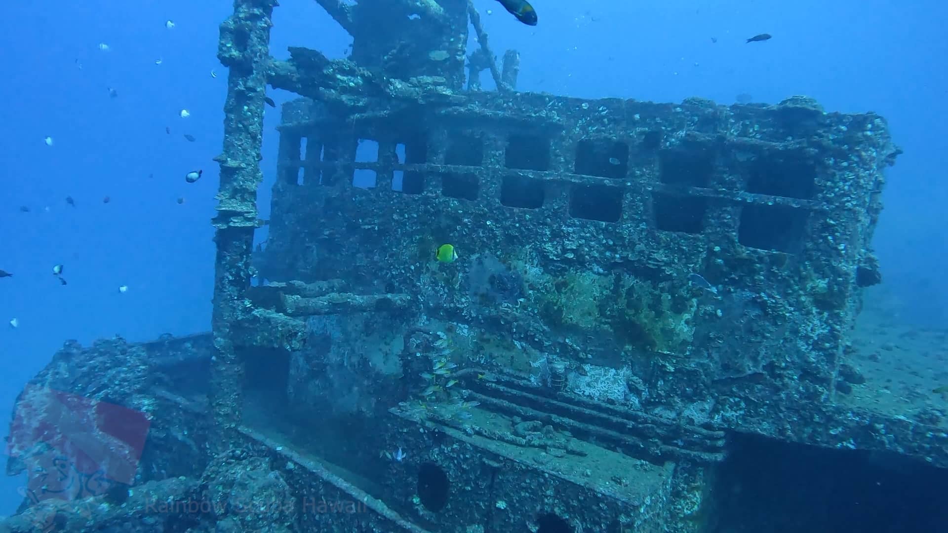 Sea Tiger Shipwreck Honolulu, HI