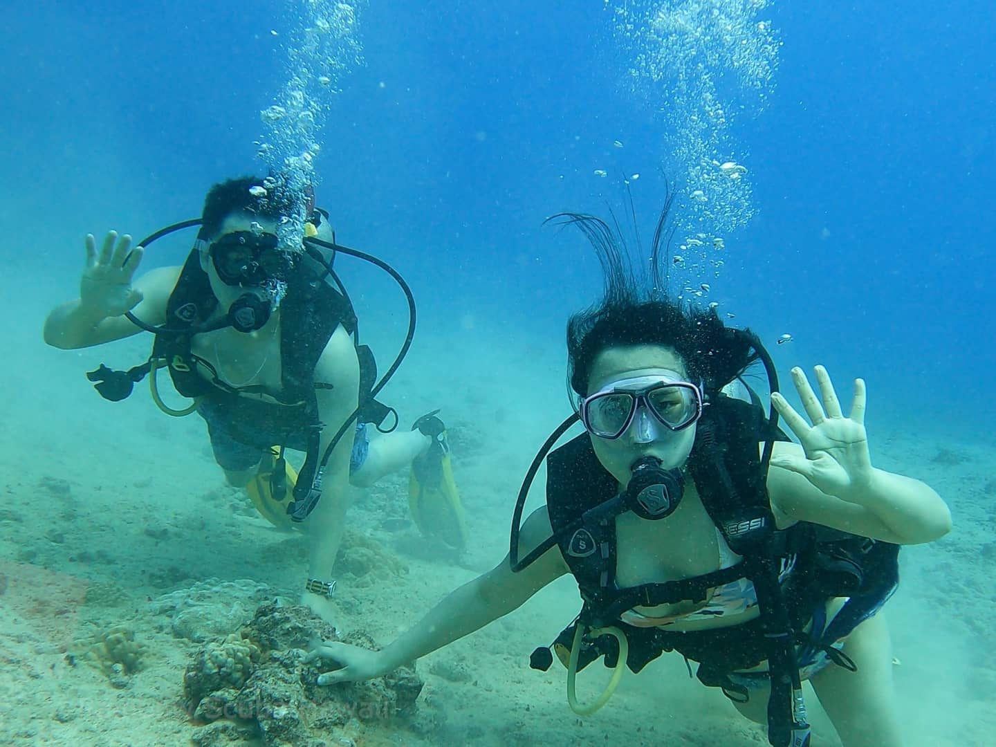 scuba diving with marine life in Hawaii