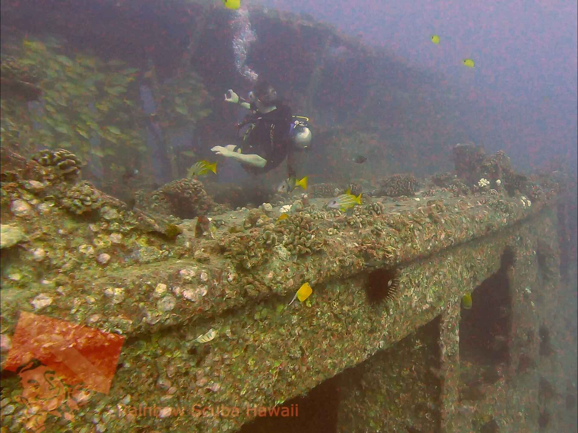 YO-257 Wreck overview