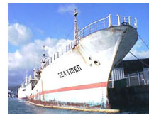Sea tiger Shipwreck Honolulu, Hawaii