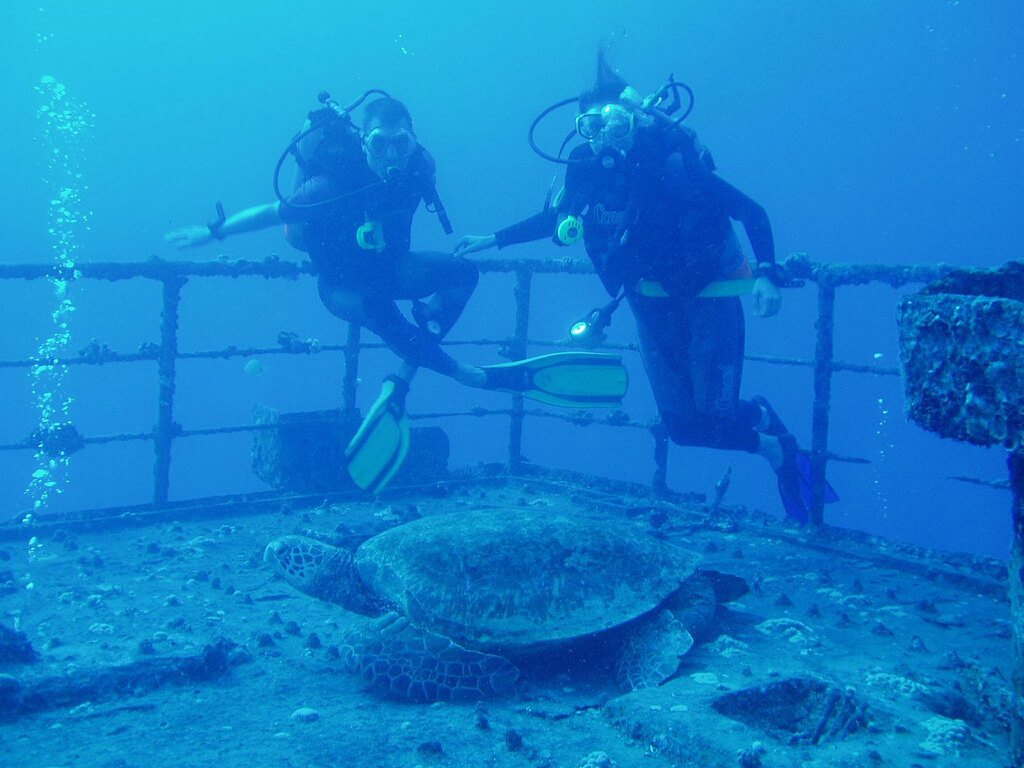 Sea tiger Shipwreck Honolulu, Hawaii