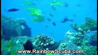 Hawaii Scuba divng 08