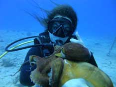 Waikiki scuba diving